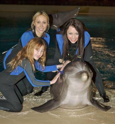 dolphin3