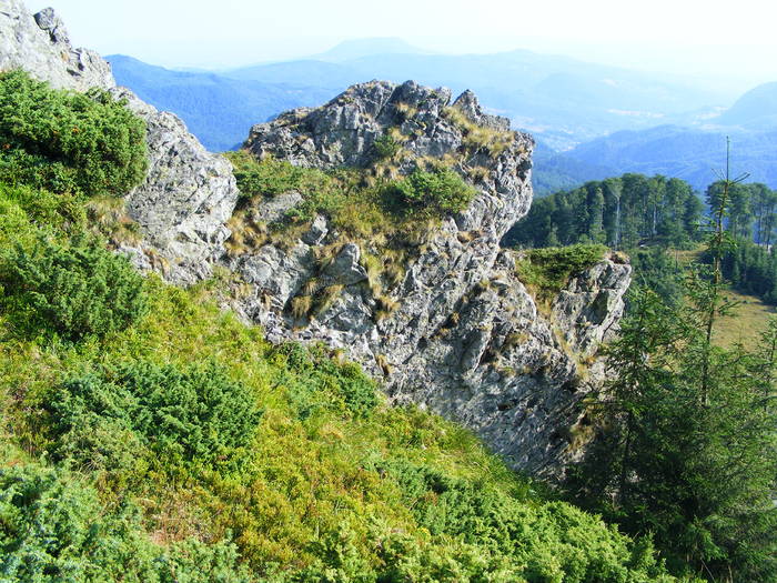 DSCF4496