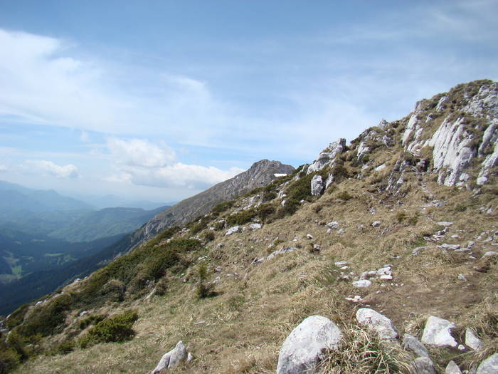 DSC03284