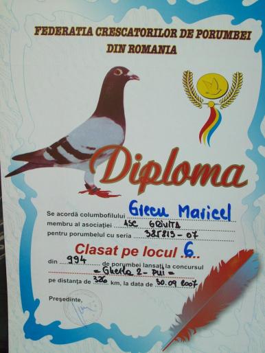 100_2878 - rezultate