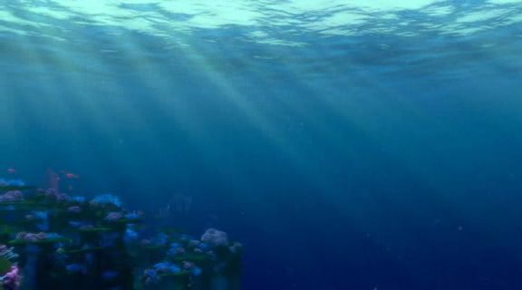 Finding Nemo (2003)-1