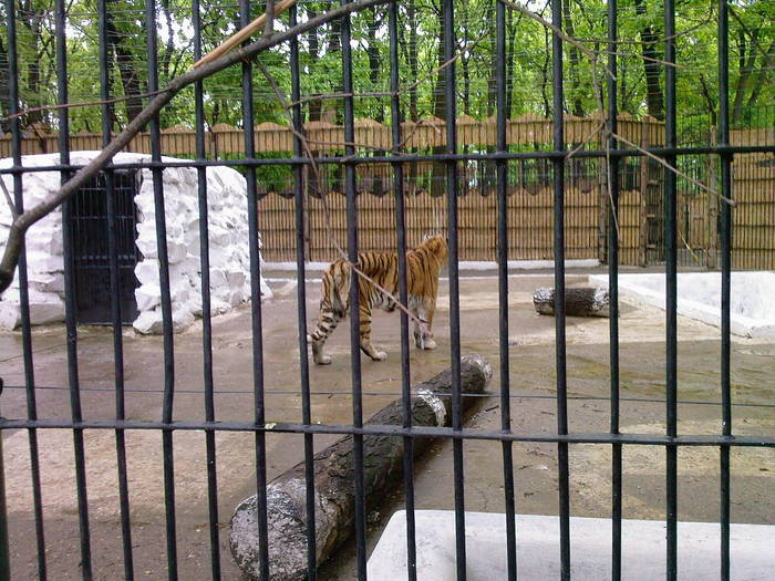 Fotografii-0005 - Zoo Braila