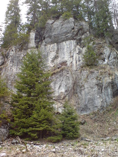DSC01185