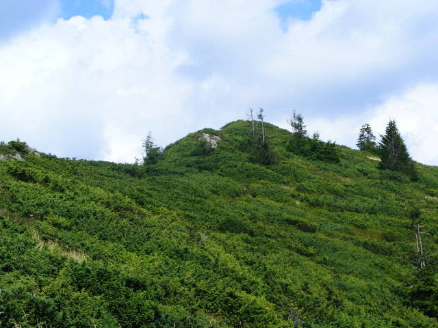 DSCF4403 - 2 august 2009 Traseu Suior Secatura Creasta Cocosului Gutaiul Doamnei  Vf Gutai