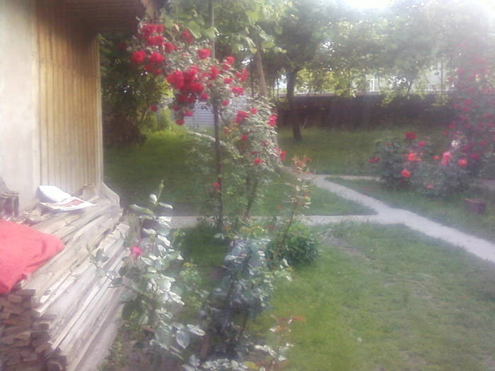Fotografii-0096