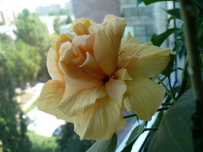 P1150117