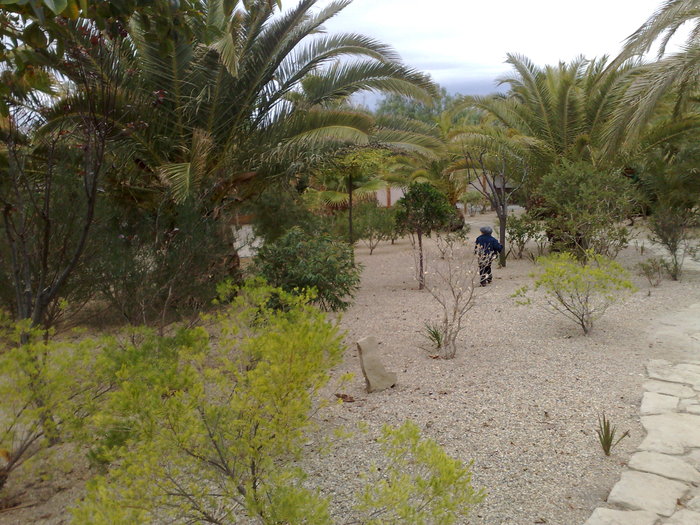 291120091102 - mini holiwood