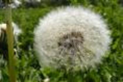 images12