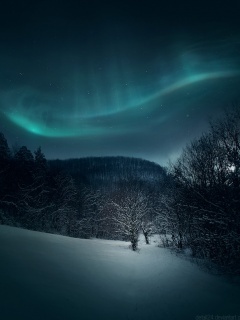 05619490 - Mobile Wallpapers