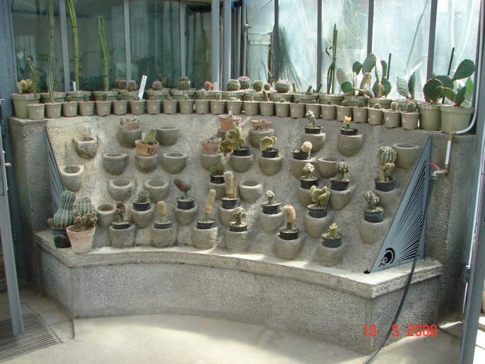 DSC03120