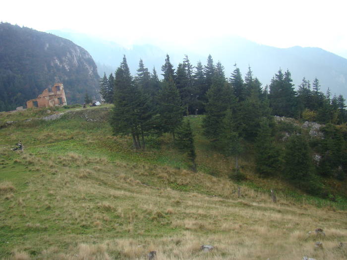 DSC00324