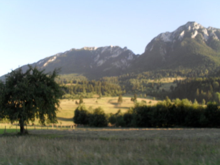 SDC10082 - piatra craiului