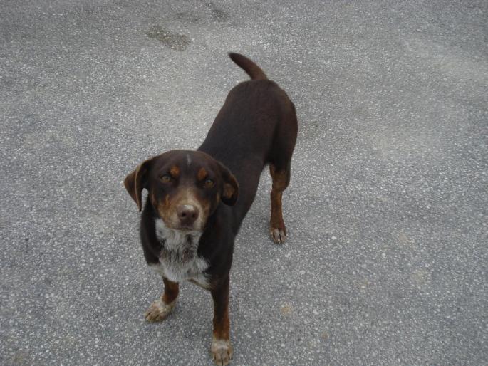 DSC07880 - 2008 REVELION CORFU