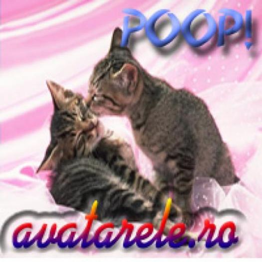 RZYMARPAFOLCNCWIRGQ[1] - poze avatare animalae
