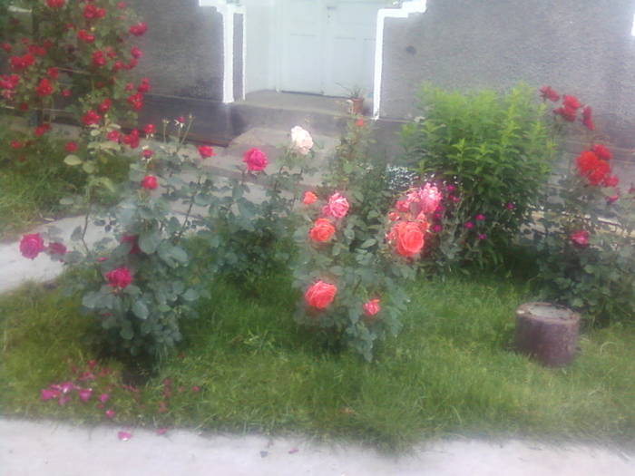 Fotografii-0089
