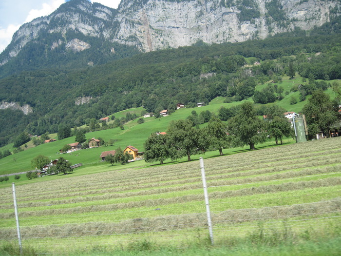 IMG_0500 - LIECHTENSTEIN-Vaduz