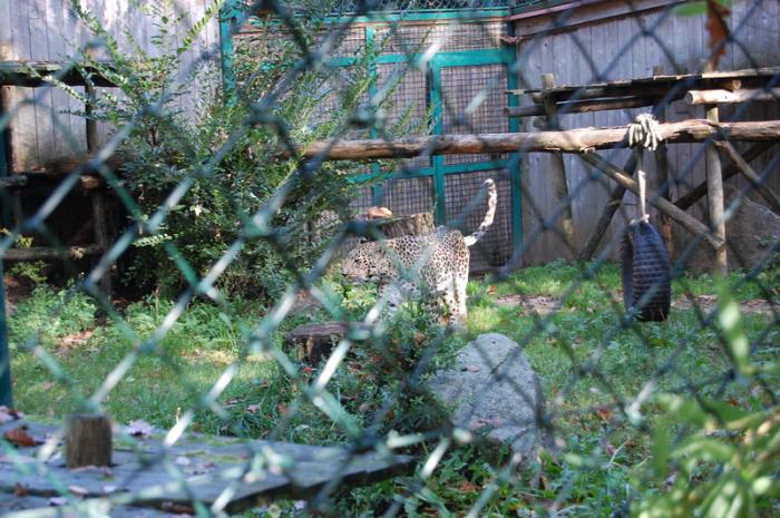 DSC_0063 - zoo amneville