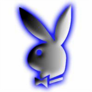 Play-Boy-1[1] - Playboy bunny