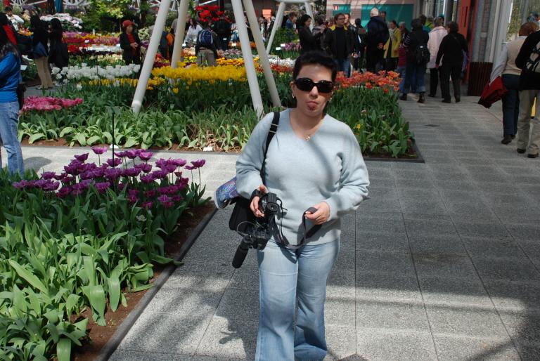 Afbeelding 780 - Keukenhof 2008