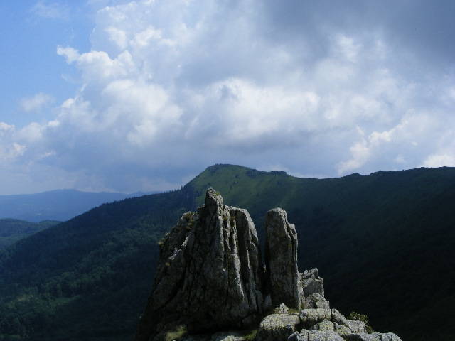 DSCF3161
