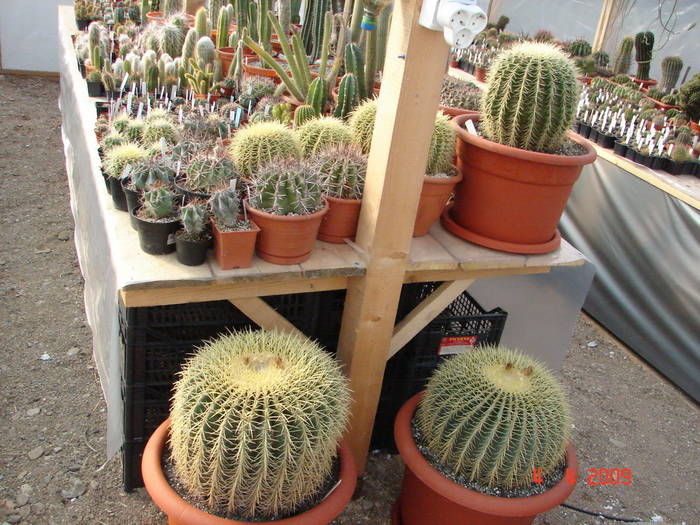DSC05205