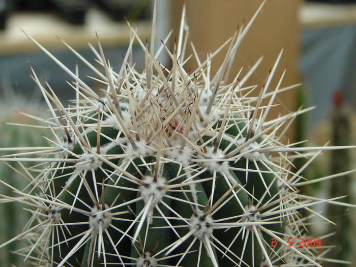DSC05476 - 2009