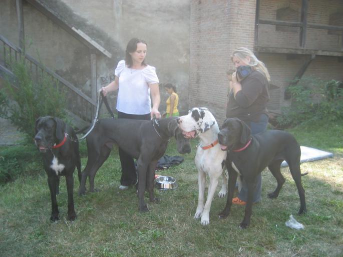 IMG_3304 - EXPO Tg Mures 2008