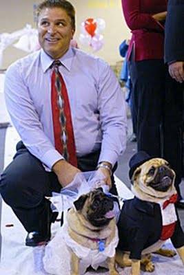 funny_dogs_marriage_06