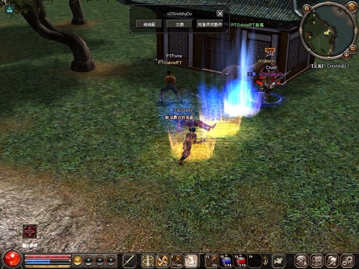 1213_173641 - metin 35 pserver poze noi