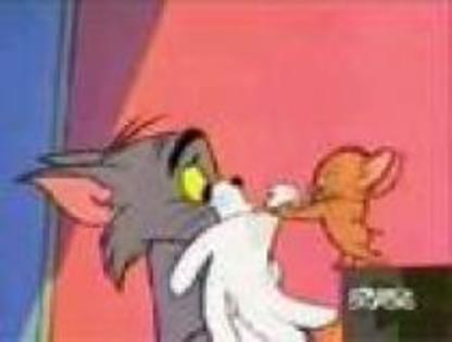 SYRHGSCGJWWOGOYDCNB - poze tom and jerry