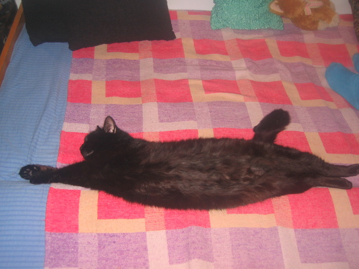 23 dec 2007 134