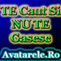 te caut si nu te gasesc - avatare cu texte