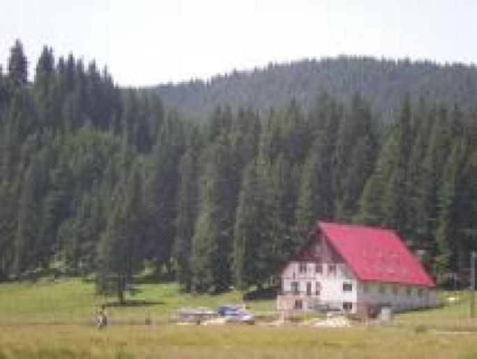 KNXWDTEUHVHOAJZKTCV - ROMANIA-PRAHOVA-PADINA