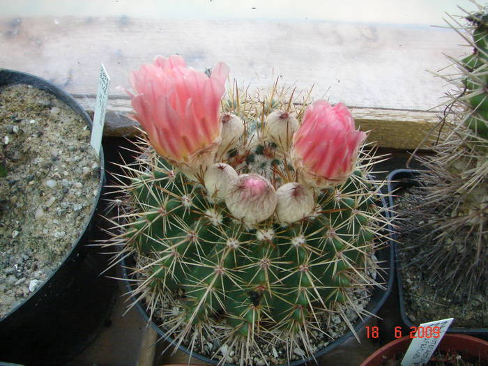 DSC06200