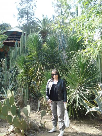 Picture 375 - 2009 REVELION CIPRU