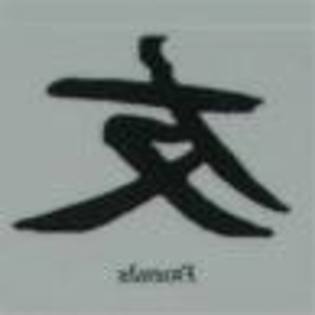 rwqert - semne-simboluri chinezesti