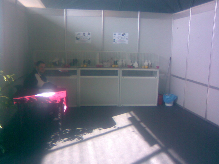 ddd - S -Expo Cluj 24-25 Octombrie