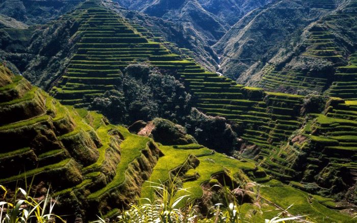 Ancient-Rice-Terraces-Philippines