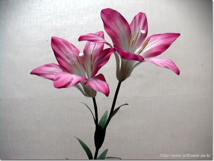 lily-pink.20031122