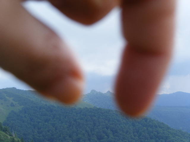 DSCF3081