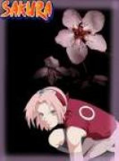 sakura ninja florilor - naruto
