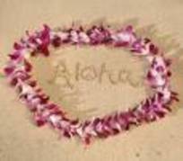 aloha; salutare
