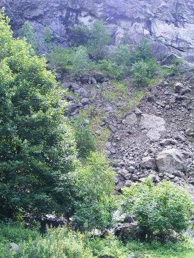 DSCF2779 - Sighetul Marmatiei Gutai 29 iunie 2009