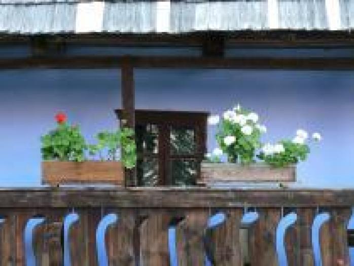 balcon cu flori - Flori si peisaje