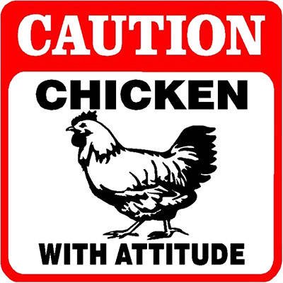 ChickenAttitude