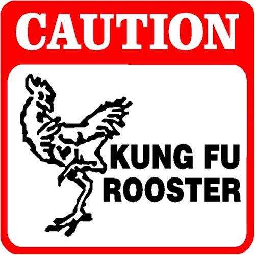 KUNGFUROOSTER