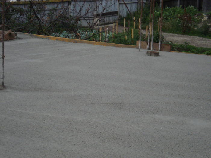 DSC02038