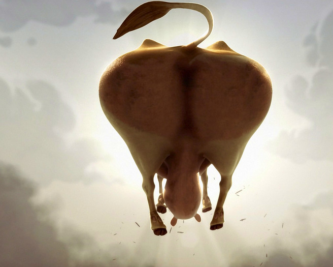 Cool Desktop Wallpapers Funny Fat Cow