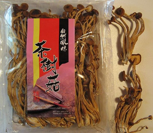 691px-Velvet_pioppini_mushroom_dried - Mancare japoneza