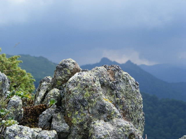 DSCF3077